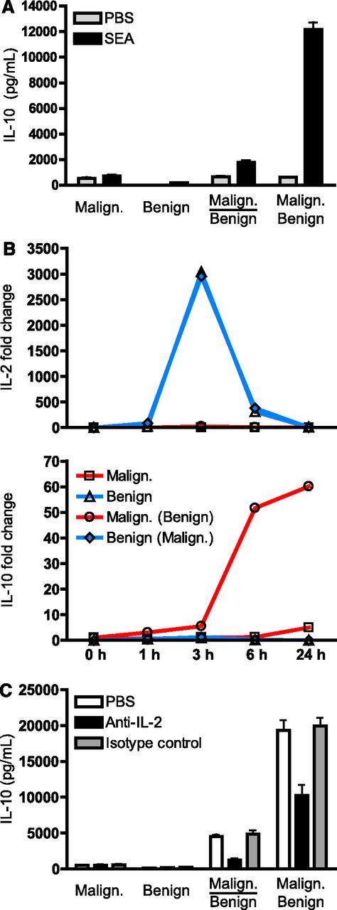 Figure 4. SEA induces IL-10 expression via a mechanism that is dependent on cell-cell contacts between malignant and benign T cells as well as secretion of IL-2 by benign T cells. (A) Malignant (SeAx) and benign (MF1850) T cells were mono- and cocultured with vehicle (PBS) or SEA (50 ng/mL). In cocultures, the malignant and benign T cells were either cultured in transwells where the 2 subsets are separated by a cell-impermeable filter (indicated by a line) or together without a cell-impermeable filter (no line). The supernatants were harvested after 24 hours and the concentrations of IL-10 determined by ELISA. Error bars represent SEM of 3 independent experiments. (B) Malignant (SeAx) and benign (MF1850) T cells were cultured alone and together with SEA for different periods of time. At each given time point, the cells were harvested and the cocultured cells sorted into pure populations of malignant and benign T cells by FACS. Finally, the relative levels of IL-2, IL-10, and GAPDH mRNA in each sample were analyzed by qPCR. The levels of IL-2 and IL-10 mRNA were normalized to that of GAPDH and depicted as fold change when compared with benign and malignant T cells respectively at time point zero. Malign. (Benign) indicates cytokine expression in malignant T cells that had been cocultured with benign T cells, and vice versa for Benign (Malign.). Data are representative of 2 independent experiments. (C) Malignant (SeAx) and benign (MF1850) T cells were mono- and cocultured in the presence of SEA (100 ng/mL) together with an IL-2 neutralizing antibody (Anti-IL-2, 1 μg/mL), an isotype control antibody (1 μg/mL), or vehicle (PBS) for 24 hours before the concentrations of IL-10 in the cell culture supernatants were determined by ELISA. Error bars represent SEM of 3 independent experiments.
