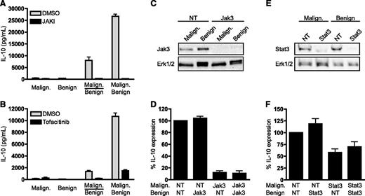 Figure 5. SEA induces IL-10 via a mechanism that is dependent on the Jak3/Stat3 pathway in malignant but not benign T cells. (A-B) Malignant (SeAx) and benign (MF1850) T cells were mono- and cocultured in the presence of SEA (50 ng/mL) together with vehicle (dimethylsulfoxide), (A) a pan Jak inhibitor (JAKI, 1 µM) or (B) a Jak3 inhibitor (Tofacitinib, 0.3 µM). After 24 hours of culture, the concentrations of IL-10 in the cell culture supernatants were determined by ELISA. Error bars represent SEM of 3 independent experiments. (C) Representative western blot of Jak3 and Erk1/2 expression after transient transfection of malignant (SeAx) and benign (MF1850) T cells with Jak3 or nontargeting (NT) siRNA. (D) Malignant (SeAx) and benign (MF1850) T cells were transiently transfected with NT or Jak3-specific siRNA and monocultured for 24 hours. Then, the transfected cells were washed and cocultured in the presence of SEA (50 ng/mL) for another 24 hours before the concentrations of IL-10 in the cell culture supernatants were determined by ELISA. Shown is the percent IL-10 expression relative to cocultures of malignant and benign cells transfected with NT siRNA. Error bars represent SEM of 3 independent experiments. (E) Representative western blot of Stat3 and Erk1/2 expression after transient transfection of malignant (SeAx) and benign (MF1850) T cells with Stat3 or NT siRNA. (F) Malignant (SeAx) and benign (MF1850) T cells were transiently transfected with NT or Stat3-specific siRNA and monocultured for 24 hours. Then, the transfected cells were washed and cocultured in the presence of SEA (50 ng/mL) for another 24 hours before the concentrations of IL-10 in the cell culture supernatants were determined by ELISA. Shown is the percent IL-10 expression relative to cocultures of malignant and benign T cells transfected with NT siRNA. Error bars represent SEM of 3 independent experiments. DMSO, dimethylsulfoxide.