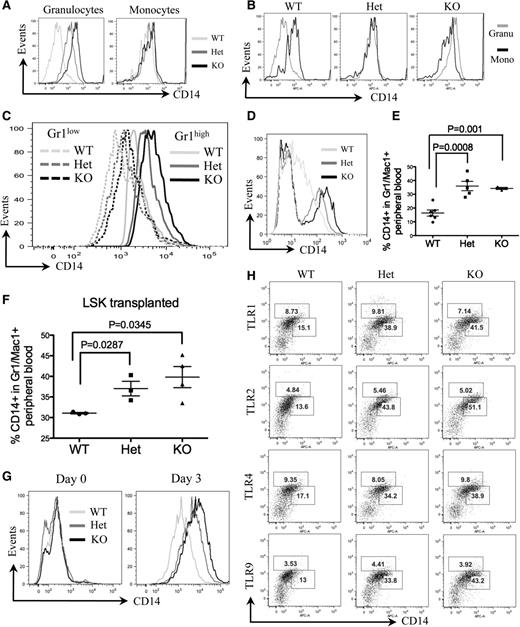 Figure 3. CD14 was aberrantly overexpressed on granulocytes of mDia1 heterozygous and knockout mice. (A) Flow cytometric analysis of CD14 expression in bone marrow granulocytes and monocytes of indicated mice. Data are representative of 3 independent experiments. (B) Flow cytometric analysis to compare CD14 levels in granulocytes vs monocytes of indicated mice. (C) Flow cytometric analysis of CD14 levels on the gated bone marrow Gr1low and Gr1high populations from indicated mice. (D) Flow cytometric analysis of CD14 levels on the gated Gr1 (Ly6G clone 1A8) positive peripheral blood granulocytes from indicated mice. (E) Same as Figure 2A. The percentages of CD14 positive cells in the peripheral blood Gr1/Mac1 double-positive granulocytes were analyzed. WT: N = 6, mean ± standard error of the mean (SEM) = 20.9 ± 2.02; Het: N = 5, mean ± SEM = 39.06 ± 3.25; KO: N = 3, mean ± SEM = 37.97 ± 0.52. (F) Same as Figure 2C. The percentages of CD14 positive cells in the peripheral blood Gr1/Mac1 double-positive granulocytes were analyzed. N = 3 in each group. WT: mean ± SEM = 31.07 ± 0.18; Het: mean ± SEM = 37.03 ± 1.75; KO: mean ± SEM = 39.83 ± 2.57. (G) Lineage negative bone marrow cells from indicated mice were purified and cultured in granulocyte differentiation medium for 3 days. The cells were harvested on day 0 and day 3 in culture for flow cytometric analysis of CD14. (H) Flow cytometric analysis of CD14 and indicated TLRs in peripheral blood Gr1/Mac1 double-positive cells of mice with indicated genotypes. The percentages of TLRs (upper gate) and CD14 (lower gate) positive cells are presented. Mice involved in this figure were all 6-8 weeks old.