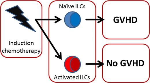 Activated ILCs are correlated with less GVHD. After induction chemotherapy, prior to HSCT, most ILCs are depleted. However, the remaining ILCs can have either an activated or naïve phenotype. Patients with mostly activated ILCs had a significantly lower incidence of GVHD after transplant.
