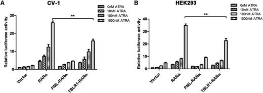 Figure 5. TBLR1-RARα functions as a transcriptional activator. CV-1 (A) or HEK293 (B) cells were transfected with RARE Cignal reporter and expression plasmids containing vehicle, PML-RARα, RARα, and TBLR1-RARα, respectively. The transfected cells were then incubated with different dosages of ATRA or ethanol solvent for 48 hours and harvested for luciferase assay. TBLR1-RARα could increase the transcriptional activity of reporter gene. When treated with ATRA, TBLR1-RARα exhibited an ATRA-induced transcriptional activation in a concentration-dependent manner. The transcriptional capability of TBLR1-RARα was lower than that of wild-type RARα. Renilla luciferase activity was normalized to firefly luciferase activity. Ratios were normalized against the cells transfected with control plasmids. Bars represent mean values ± SD corresponding to at least 3 independent experiments executed in triplicate. Statistical significance was determined with the Student t test. **P < .01.