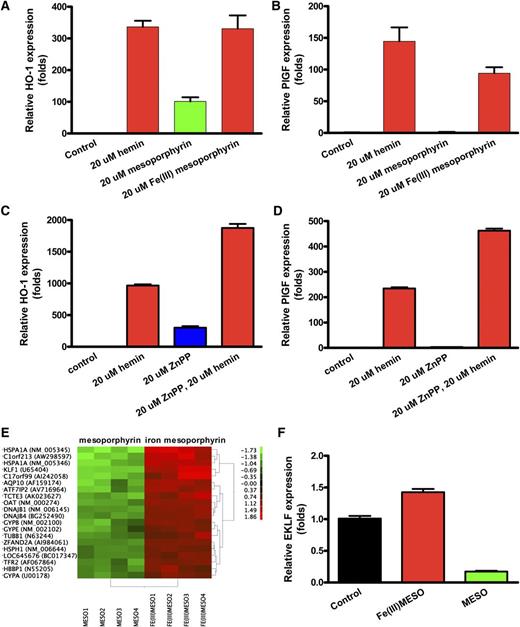 Figure 2. Iron is the key factor in promoting PlGF expression. Iron-containing mesoporphyrin, but not mesoporphyrin alone, stimulates PlGF expression in K562 cells. K562 were grown and treated as in Figure 1. (A-B) HO-1 expression and PlGF expression. (C-D) Quantitative PCR results of HO-1 and PlGF expression from K562 cells treated with 20 µM zinc protoporphyrin (ZnPP) or 20 µM hemin or both. Cells were incubated with ZnPP for 30 minutes before hemin was included. (E) Differentially expressed transcripts in the microarray assay. (F) Quantitative PCR of EKLF from K562 cells treated as indicated.