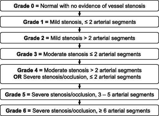 Figure 1. Grading of vascular occlusion based on MRA. Each cerebral hemisphere and its corresponding vessels were reported separately because they represent functionally and structurally independent systems. Vessels occlusions of ≤5 mm in length are not counted. Stenosis is scored as mild (25-49%), moderate (50-74%), severe (75-99%), or occlusion (>99%).
