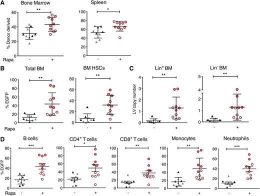 Figure 2. Increased EGFP marking in mouse hematopoietic lineages arising from rapamycin-treated and LV-transduced Lin− cells transplanted into mice. Congenically marked mouse bone marrow Lin− cells were transduced for 16 hours with RRL-MND-GFP LV, MOI = 2.5, in the presence of 5 μg/mL rapamycin or DMSO. Cells were washed, and 1 × 106 cells per mouse were injected retro-orbitally into lethally irradiated congenically disparate recipients. Mice were sacrificed 11 (gray triangles or open red circles) or 16 (black triangles or closed red circles) weeks posttransplant. (A) Percent donor cell engraftment in bone marrow and spleen. (B) EGFP marking, assessed by flow cytometry, in total donor bone marrow cells and bone marrow HSCs (Lin−Sca-1+c-Kit+). (C) LV copy number per cell in Lin− and Lin+ bone marrow cells as determined by qPCR (described in “Methods”). (D) EGFP marking in splenic subsets analyzed with the following markers: B220+ B cells, B220−CD4+ or CD8+ T cells, B220−CD4−CD8−CD11b+GR1lo/neg monocytes, and B220−CD4−CD8−CD11b+GR1hi neutrophils. Each point represents 1 mouse. Cells were pregated on donor-derived cells for all subset assessments. For all panels, lines represent group mean and error bars represent standard deviation. *P < .05, **P < .01, and ***P < .001 from a parametric 2-tailed unpaired Student t test.