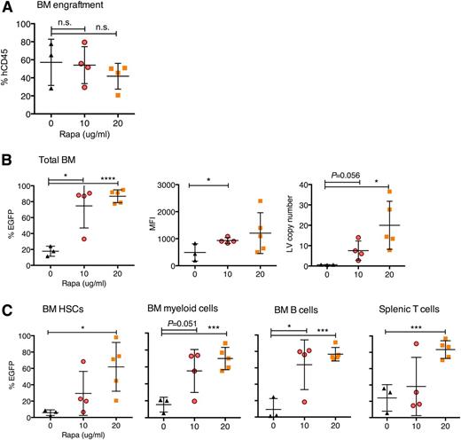 Figure 3. Increased EGFP marking in human hematopoietic lineages arising from rapamycin-treated and LV-transduced CD34+ cells transplanted into NSG mice. Human cord blood CD34+ cells were prestimulated for 24 hours in HSC-supportive cytokines and then transduced for 12 hours with CG-UbiC-EGFP, MOI = 25, in the presence of DMSO, 10 μg/mL rapamycin, or 20 μg/mL rapamycin. NSG mice each received 3 × 106 CD34+ cells (DMSO control or 10 μg/mL rapamycin treatment) or 2.6 × 106 CD34+ cells (20 μg/mL rapamycin treatment). Mice were sacrificed 19 weeks posttransplant. (A) Total hCD45+ engraftment levels in the bone marrow. (B) EGFP expression and MFI were measured by flow cytometry in live hCD45+ from the BM (left). LV copy number per cell as determined by qPCR (described in “Methods”) (right). (C) EGFP expression in bone marrow and splenic subsets, analyzed with the following human markers: CD34+ for HSCs, CD33+ for myeloid cells, CD19+ for B cells, and CD3+ for T cells. Cells were pregated on hCD45 for subsequent lineage analyses. Each point represents 1 mouse. For all panels, lines represent group mean and error bars represent standard deviation. *P < .05, ***P < .001, and ****P < .0001 from a parametric 2-tailed unpaired Student t test.