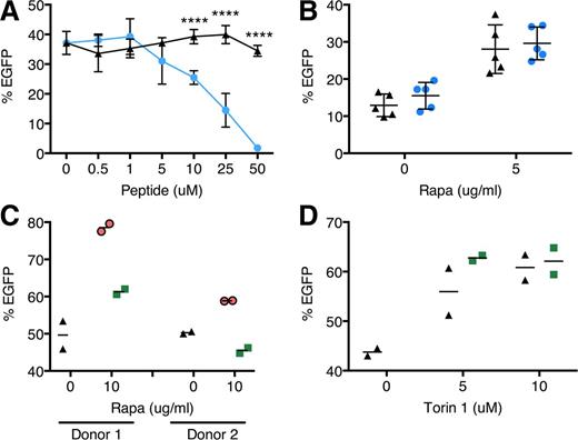 Figure 4. Rapamycin enhances LV transduction via an mTOR-dependent, nonautophagy mechanism. (A) Human cord blood CD34+ cells were transduced with CG-UbiC-EGFP, MOI = 25, in the absence or presence of the autophagy-stimulating peptide Tat-beclin 1. Black triangles, Tat-beclin 1 scrambled peptide control; blue circles, Tat-beclin 1. Data are pooled from 2 independent experiments, each with different cord blood donors and done in duplicate. (B) Bone marrow Lin− cells from wild-type or beclin 1+/− mice were transduced with RRL-MND-GFP, MOI = 0.5, in the presence of 5 μg/mL rapamycin or DMSO. EGFP marking was assessed by flow cytometry 10 days posttransduction. Data points represent cells from individual donor mice. Black triangles, wild-type cells; blue circles, beclin 1+/− cells. (C) Human cord blood CD34+ cells were transduced with CG-UbiC-EGFP, MOI = 25, in the presence of combinations of either rapamycin or (D) Torin 1 with FK506, an FKBP12-binding compound. Black triangles, DMSO only; green squares, 10 μg/mL FK506. Data are duplicate transductions from 2 representative experiments with different cord blood donors. For all panels, lines represent group mean and error bars represent standard deviation. ****P < .0001 from a parametric 2-tailed unpaired Student t test.