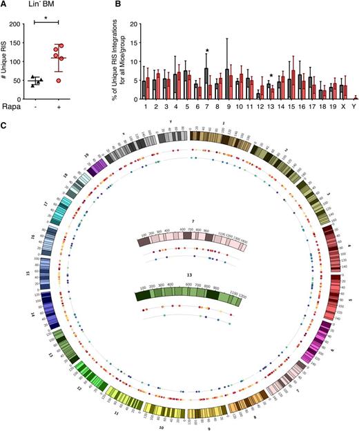 Figure 6. In vivo LV genomic integration profile in rapamycin-treated mouse bone marrow Lin− cells. (A) Total number of unique LV integration sites (RIS) identified in BM Lin− cells from primary transplant recipient mice described in Figure 2. *P < .05 from a parametric 2-tailed unpaired Student t test. (B) Percentage of the total number of RIS mapped to each chromosome. White, DMSO only; red, 5 μg/mL rapamycin. Asterisk (*) denotes borderline significant differences between the frequency of integration in chromosomes 7 and 13 (P = .077 and .076, respectively). (C) Genome distribution of identified integration sites. The mouse genome is represented by chromosomes 1 to 19, x and y clockwise from top. Inner circles represent all mice from a given treatment group: rapamycin-treated mice (first inner circle, warm colors) and control mice (second inner circle, cool colors). Each colored dot represents an individual integration event and is color-coded by the mouse in which it was identified within the specified treatment group. Integrations mapped to chromosomes 7 and 13 are magnified (center). For all panels, lines represent group mean and error bars represent standard deviation.