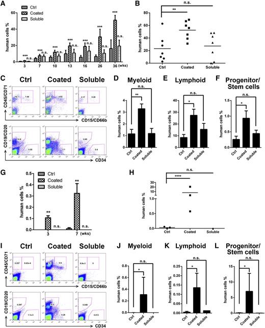 Figure 5. Ex vivo expansion of human cord blood CD133+ cells by anti-LILRB2 pAb as determined by NSG transplantation. (A) After 10 days of culture in STF medium with or without same amounts of coated (25 µg/mL in 50 µL PBS) or soluble (5 µg/mL in 250 µL StemSpan media) anti-LILRB2 pAb, expansion of 1 × 104 input equivalent human cord blood CD133+ cells were transplanted into NSG mice (n = 8). Engraftment of human cells (human CD45+) in peripheral blood at indicated weeks are shown***P < .001. (B) Engraftment of human CD45/CD71+ in bone marrow of mice described in panel A at 36 weeks. *P < .05; n = 8. (C) Multilineage contribution of cultured human umbilical cord blood CD133+ cells. Shown are representative flow cytometric profiles of bone marrow cells from 1 primary transplanted mouse of each group. Myeloid, CD45/CD71+CD15/CD66b+; lymphoid, CD19/CD20+; hematopoietic stem/progenitor cells, CD19/CD20−CD34+. (D-F) Summary of multilineage contributions from data shown in panel C. *P < .05; **P < .01; n = 8. (G) Engraftment of human CD45+ cells in peripheral blood of secondarily transplanted mice at 3 and 7 weeks posttransplant are shown. **P < .01; n = 3. (H) Engraftments of human cells in bone marrow of secondarily transplanted mice at 8 weeks posttransplant are shown. *P < .05; n = 3. (I) Representative flow cytometric profiles showing multilineage contribution of human umbilical cord blood CD133+ cells in the bone marrow of secondarily transplanted mice at 8 weeks posttransplant. (J-L) Summary of multilineage contributions from data shown in panel I. *P < .05; n = 3. Ctrl, control; n.s., not significant.