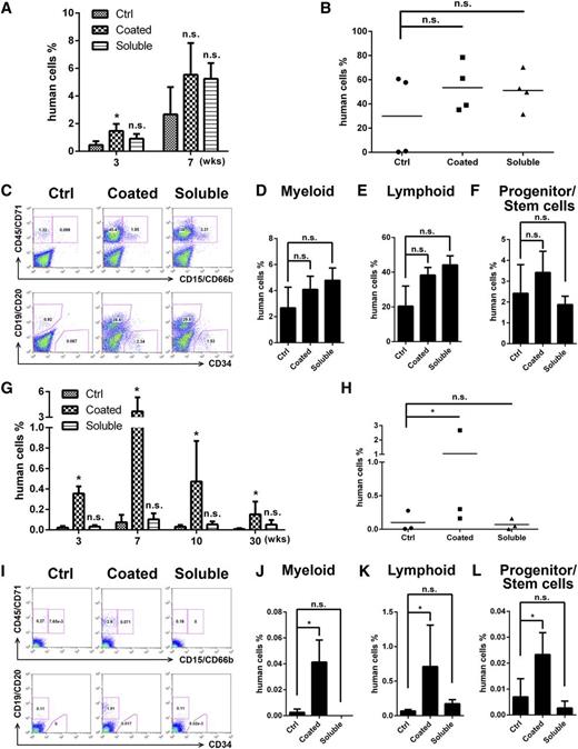 Figure 6. Ex vivo expansion of human cord blood CD133+ cells by anti-LILRB2 monoclonal antibody in NSG mice as determined by NSG transplantation. (A) After 10 days culture in STF medium with or without same amounts of coated (25 µg/mL in 250 µL PBS) or soluble (5 µg/mL in 250 µL StemSpan media) anti-LILRB2 mAb, 1 × 104 input equivalent human cord blood CD133+ cells were transplanted into NSG mice. Engraftment of human CD45+ in peripheral blood at 3 and 7 weeks are shown. *P < .05; n = 4. (B) Engraftments of human CD45/CD71+ in bone marrow of mice described in panel A at 8 weeks; n = 4. (C) Multilineage contribution of cultured human umbilical cord blood CD133+ cells. Shown are representative flow cytometric profiles of bone marrow cells from 1 primary transplanted mouse of each group. (D-F) Summary of multilineage contributions based on data shown in panel C; n = 4. (G) Engraftment of human CD45+ cells in peripheral blood of secondarily transplanted mice at 3, 7, 10, and 30 weeks. *P < .05; n = 3. (H) Engraftment of human cells in bone marrow of secondarily transplanted mice at 30 weeks; n = 3. (I) Representative flow cytometric profiles showing multilineage contribution of human umbilical cord blood CD133+ cells in the bone marrow of secondarily transplanted mice at 8 weeks posttransplant. (J-L) Summary of multilineage contributions based on data from panel I. *P < .05; n = 3. Ctrl, control; n.s., not significant.