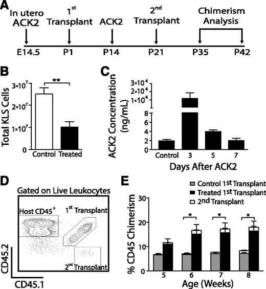 Figure 5. Increased efficacy of in utero ACK2 treatment compared with neonatal ACK2 treatment. (A) CD45.2 fetuses were injected with ACK2 in utero and transplanted at P1 with FLMCs from CD45.1/CD45.2 mice. They received a second ACK2 treatment at 2 weeks followed by transplantation of FLMC from CD45.1+/+ mice at 3 weeks of age. Control mice underwent transplantation without ACK2 treatment. (B) Total number of BM KLS cells within long bones 7 days after ACK2 treatment (25 µg/g) at 2 weeks of age. N = 5 per group; **P < .01 by Student t test. (C) Serum concentrations of ACK2 after ACK2 treatment at age 2 weeks. N = 6. (D) Gating strategy to detect host (CD45.2), first donor (CD45.1/CD45.2), and second donor (CD45.1+/+) leukocytes. (E) Levels of chimerism among mice that received multiple transplantations. N ≥ 5 per group. *P < .05 comparing peripheral blood CD45 chimerism from the first transplant between control and treated mice by Student t test. There were no differences in the levels of chimerism resulting from the second transplantation between control and treated mice.
