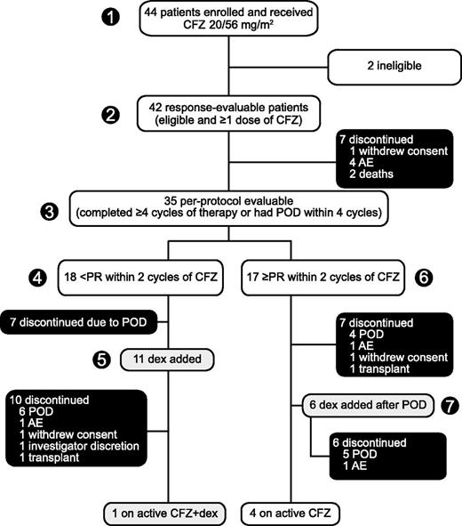 Figure 1. Patient disposition. Enrollment: May 2011 to January 2013. (1) Forty-four patients enrolled and received single-agent carfilzomib 20/56 mg/m2 with (2) 42 response evaluable and (3) 35 evaluable per protocol. (4) Patients who achieved less than PR within 2 cycles of single-agent carfilzomib could have (5) low-dose dexamethasone (20 mg) added to their regimen and continued treatment until POD or intolerable toxicity. (6) Patients who achieved at least PR within 2 cycles continued single-agent carfilzomib until POD, at which time they had the option of discontinuing treatment or (7) modifying the carfilzomib regimen with the addition of low-dose dexamethasone to potentially overcome resistance and prolong therapy. Data cutoff: June 2013. CFZ, carfilzomib; dex, dexamethasone; CFZ + dex, CFZ in combination with low-dose dex.