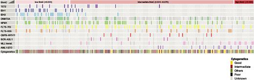 Figure 4. Molecular markers in different groups of 5hmC levels. Patients are ranked from low to high 5hmC levels, and the different 5hmC groups used for the OS analysis are indicated. Per patient, all mutations are indicated with small colored boxes. Light gray boxes represent no mutation and dark gray boxes not determined/unknown. TET2 and IDH mutations are present in patients with low 5hmC, whereas AML1-ETO and MLL translocations are more frequently found in patients with high 5hmC levels. ITD, internal tandem duplication; transl, translocation.