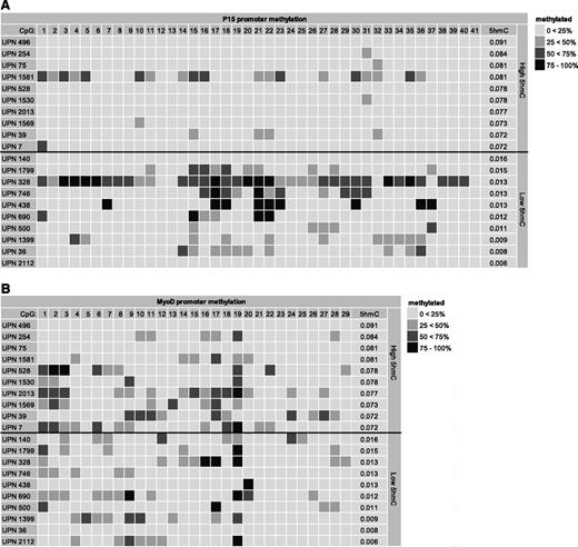 Figure 5. P15 and MyoD promoter methylation. P15 (A) and MyoD (B) promoter methylation were determined in 10 patients with low and 10 with high 5hmC levels. For each CpG, the methylation status is indicated with shaded boxes. Patients with low 5hmC show more P15 promoter methylation than patients with high 5hmC levels, whereas there is no difference in MyoD promoter methylation. UPN, unique patient number.