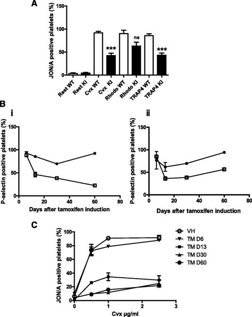 Figure 4. P-selectin exposure or JON/A binding on resting and activated platelets. Whole blood was incubated with buffer, convulxin (Cvx, 2.5 µg/mL), rhodocytin (rhodo, 50 nM), or TRAP4 (1000 µM) for 15 minutes at room temperature before measurement of P-selectin or JON/A (GPIIbIIa active form) exposure at the platelet surface. (A) Experiments performed in VavCre/JAK2V617F mice (KI) and their controls (WT). ***P < .0001. (B) Experiments were performed in SCLCreERt/JAK2V617F mice at different times after administration of tamoxifen (white squares) or vehicle (black circles), incubated with convulxin (i) or rhodocytin (ii). (C) Surface expression of the active form of integrin αIIbβ3 (JON/A) was quantified on SCLCreERt/JAK2V617F platelets (TM) activated in whole blood by 3 doses of convulxin (0.5, 1, and 2.5 µg/mL) at different times after administration of tamoxifen.