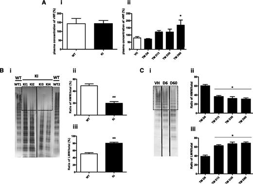 Figure 5. Von Willebrand analysis in JAK2V617F mice. (A) Plasma concentrations of VWF in VavCre/JAK2V617F (Ai, KI, n = 21), SCLCreERt/JAK2V617F (Aii, TM, n = 4 per group), and their controls. Mouse plasma samples were analyzed 2-3 months after BM graft. *P < .03. (Bi) Representative electrophoreses (n = 3) of the multimeric structure of VWF from 2 different WT mice and 4 different VavCre/JAK2V617F (KI). The dotted line square represents the decreased intensity of the high-molecular-weight bands (HMW). Quantification of HMW (Bii) and low-molecular-weight bands (LMW) (Biii) of VWF from 9 VavCre/JAK2V617F (KI) and WT. **P < .002. (Ci) Representative electrophoreses of the multimeric structure of VWF from SCLCreERt/JAK2V617F mice at D6 and D60 compared with controls (VH). Quantification of HMW (Cii) and LMW bands (Ciii) of VWF from 4 SCLCreERt/JAK2V617F per group at different times after treatment by tamoxifen.
