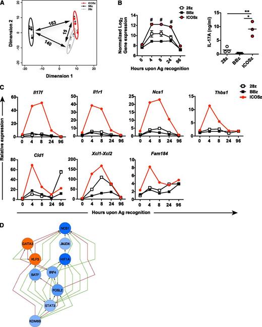Figure 4. Transcriptional signature of T cells expressing ICOS-based CARs. Redirected TH17 cells from 3 different human normal donors were stimulated with immobilized recombinant mesothelin. Gene expression levels were determined previous to stimulation (day 0) and 4, 8, 24, and 96 hours on antigen recognition. (A) MDS analysis of 886 differentially expressed genes between the 3 sets of CAR T cells at 4 hours on activation show 3 distinct clusters. The number of differentially expressed genes (FDR < 0.05, FC > 2) between a pair of CARs is indicated with pair-connecting arrows. (B) Relative log2 expression of Il17a at indicated time points on antigen recognition. #FDR < 0.05, FC > 2 compared with both 28ζ and BBζ. The cytokine levels of IL-17A were validated by ELISA. Error bars represent SEM (3 different normal donors). *P < .05, **P < .01. (C) Expression of genes that were found significantly upregulated in ICOSζ T cells compared with both 28ζ and BBζ T cells was validated in at least 1 of the 3 healthy donors by quantitative reverse transcription polymerase chain reaction (qRT-PCR) at indicated time points and shown as ratio vs β-actin. (D) The significant regulatory inputs for Ncs1 identified in the TH17 differentiation network model are displayed. Blue and orange nodes depict the extent of TH17 upregulation and downregulation, respectively (compared with a TH0 control). Edges connecting 2 genes are green for activation and red for repression. Edges emitting from IRF4, STAT3, BATF, MAF, and Fosl2 are supported by both TF ChIP-seq and TF knockout RNA-seq and thus should be considered as validated. Edges emitted from other TFs were inferred from transcriptomic analysis of a large compendium of mouse immune cells and thus should be considered as likely but not validated.