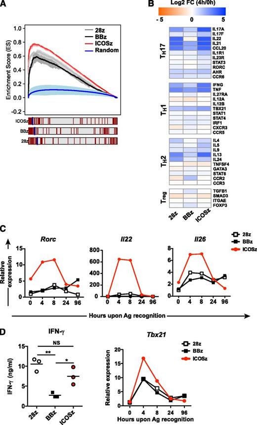 Figure 5. TH17 cells redirected with ICOS endodomain showed increased expression of TH17/TH1-related genes. (A) GSEA for gene lists ranked by log2-fold change capturing expression patterns from TH17 cells with 3 different CAR signaling domains. Shaded area around each line reflects the mean ES ±1 SD for each corresponding CAR from 3 donor replicates, respectively. The verticle red lines indicate where in the ranked list human orthologous of 74 literature-derived TH17-related mouse genes were recovered. Blue line shows the performance of 10 000 randomly permuted gene sets in the ranked gene list from TH17 cells with ICOS. (B) Heat map of log2-fold change in expression of T helper signature genes at 4 hours relative to 0 hours. (C-D) Expression of selected genes was measured by qRT-PCR and was expressed relative to β-actin. The cytokine levels of IFN-γ were validated by ELISA. *P < .05, **P < .01.