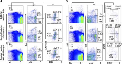 Figure 3. Echinomycin treatment did not reduce normal hematopoietic progenitor cells and HSCs. Wild-type CD45.1+ mice received (1) sublethal irradiation alone (top lane); (2) sublethal irradiation and 2 cycles of echinomycin therapy starting same day as started in group 3 (middle lane), or (3) sublethal irradiation, intravenous injection of tertiary relapsed CD45.2+ AML blasts (1 × 106/mouse), and 2 cycles of echinomycin therapy starting day 8 after infusion of AML (bottom). Mice were then observed for 150 or 165 days and killed, and harvested BM cells were stained as defined in the Materials and methods to assess frequency of CD45.1+ (A) LSK, MP, CMP, GMP, and MEP and (B) LSK, MP, LT-HSCs, MPC, MPP, and ST-HSCs. The data were reproduced in 2 independent experiments. An additional example of A is shown in supplemental Figure 3; an additional example of B is shown in supplemental Figures 5 and 6.