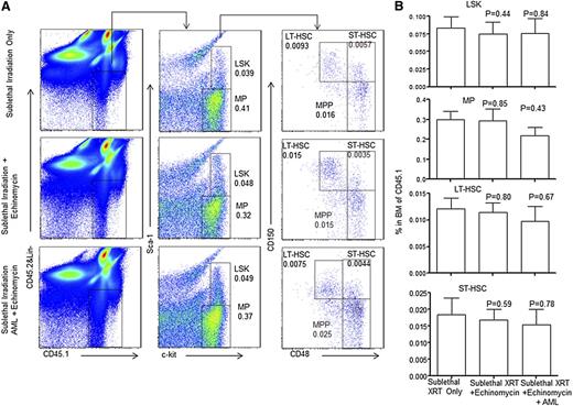 Figure 6. Echinomycin treatment does not affect self-renewal of HSCs. BM cells from the recipients of competitive BMT were analyzed for composition of hematopoietic progenitors and stem cells at 29 weeks after transplantation. (A) Representative fluorescence-activated cell sorter profiles. Lin−CD45.1+ cells were analyzed for frequency of CD45.1+ hematopoietic progenitors and stem cells, including LSK, MP, MPP, LT-HSCs, and ST-HSCs. (B) Summary data of A. Data shown represent the means ± SD for 5 mice. These data have been repeated in 2 independent experiments.