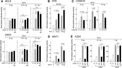 Figure 5. Heterozygous mutations alter Wnt pathway activities in HEK293T cells. (A,C,E) HEK293T cells were cotransfected with Wnt1 expression plasmid (amounts indicated), wild-type (WT), or mutant (MT), or equal amounts of WT and MT plasmids, along with the reporter plasmids SuperTOPflash and pRL-TK. Forty-eight hours after transfection, luciferase activity was measured from 3 independent experiments. All WT, MT, or WT/MT plasmids were introduced at 0.1 ng, 0.1 ng, 50 ng, and 5 ng for BCL9, DKK2, CSNK1E, and FZD5, respectively. LRP6 plasmid (10 ng) was also included in the FZD5 mutation characterization. MT1: Y46*; MT2: V290I. Downstream Wnt pathway targets were also assessed for mutated DKK2 by gene expression (see supplemental Figure 7 and supplemental Methods). (B) HEK293T cells were cotransfected with 20 or 80 ng of WT or MT RYK along with reporter plasmids. At 24 hours after the transfection, recombinant Wnt3a was added (25 ng/mL final concentration) and incubated for 24 hours before luciferase activity was measured. Detection of phosphorylation of downstream target DVL2 was assessed by western blot analysis (see supplemental Figure 7 and supplemental Methods). (D) HEK293T cells were cotransfected with either WT or MT WNT1 along with the reporter plasmids. Luciferase activity was measured from three independent experiments 48 hours after transfection. For more details on the conditions of Wnt activation, please see supplemental Methods.