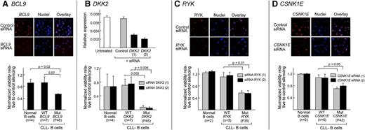 Figure 6. Increased dependence on Wnt signaling by CLL samples harboring Wnt pathway mutations. Silencing of BCL9, RYK, and CSNK1E protein in normal CD19+ B cells 48 hours after NW-mediated delivery of gene-specific siRNAs compared with nontargeting control siRNAs (“control”) was confirmed by gene-specific immunofluorescence staining (red) and visualized by confocal microscopy (A,C,D) (top panels). Nuclei were probed with DAPI (blue). Protein level silencing efficiency was estimated using Image J software. Per gene, 2 different targeting siRNAs were tested and the representative results are shown. (B) (Top) Silencing of DKK2 in HEK293T cells using gene-specific siRNAs detected by quantitative Taqman RT-PCR of complementary DNA derived from HEK293T cells that were either untreated (white bar) or treated with control nontargeting siRNA (“control”, gray bars) or with siRNA specific for DKK2 (black bars). (A-D) (Lower panels) Cell survival rate was normalized to nontargeting control in normal B cells (n = 4 for BCL9 and DKK2; n = 2 for RYK and CSNK1E), the CLL B cells with either mutated BCL9 (P48), DKK2 (P46), RYK (P35), or CSNK1E (P42) (all n = 1) or CLL-B samples without Wnt pathway mutations (n = 7 for BCL9 and DKK2; n = 5 for RYK and CSNK1E), using the Cell-Titer Glo assay 48 hours after NW-mediated siRNA delivery. Three replicates per independent sample were performed.