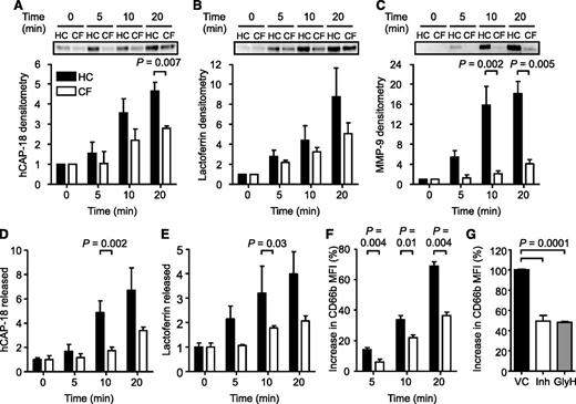 Figure 2. Impaired degranulation of secondary and tertiary granules from CF neutrophils and CFTR inhibited cells. HC and CF neutrophils were stimulated with TNF-α (10 ng/2 × 107 cells/mL), and the extracellular supernatants were obtained after 0, 5, 10, and 20 minutes. (A-C) (Top) Representative western blots of supernatants probed for (A) hCAP-18, (B) lactoferrin, and (C) MMP-9. Immunoband intensity was quantified by densitometry, expressed as a multiple of the time zero value of unstimulated cells and illustrated in the corresponding bar graphs (P = .007 at 20-minute time point for hCAP-18; P = .002 at 10-minute time point and P = .005 at 20-minute time point for MMP-9, Student t test, n = 3 subjects per group). Levels of (D) hCAP-18 and (E) lactoferrin in extracellular supernatants were also assessed by enzyme-linked immunosorbent assay (P = .002 and P = .03 at 10 minutes, respectively, Student t test, n=3 subjects per group). Values presented are relative to time 0 of unstimulated cells. (F) HC and CF neutrophils were fixed in 4% (w/v) paraformaldehyde following 0, 5, 10, and 20 minutes of TNF-α stimulation (10 ng/mL) and analyzed by flow cytometry using a fluorescein isothiocyanate-labeled CD66b antibody. Data are represented as the percent increase in mean fluorescence intensity (MFI) from unstimulated control cells (P = .004, P = .01, and P = .004 at 5, 10, and 20 minutes, respectively, Student t test, n=8 subjects per group). (G) HC neutrophils were treated with vehicle control (0.1% v/v DMSO; VC) or the CFTR inhibitors CFTRinh-172 (10 μM; Inh) or GlyH-101 (25 μM; GlyH) and then stimulated with TNF-α for 10 minutes. The level of degranulation was compared by flow cytometry using a fluorescein isothiocyanate-labeled CD66b antibody. Data are represented as increase of MFI relative to vehicle-treated control cells (P = .0001, Student t test, n = 4 subjects per group). All measurements are means ± SEM from biological replicates.