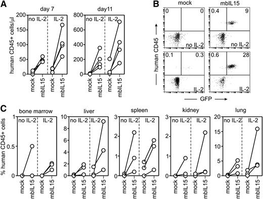Figure 3. Survival and expansion of NK cells expressing mbIL15 in vivo. (A) Absolute number of human CD45+ cells in peripheral blood of mice injected with mock- or mbIL15-transduced NK cells with or without IL-2 (16 mice in total) 7 and 11 days after infusion (P = .004 with no IL-2, P = .021 with IL-2 on day 7; P = .044 and 0.026 on day 11). (B) Flow cytometric dot plots illustrate the presence of human CD45+, GFP+ NK cells in mouse peripheral blood without (top) and with IL-2 treatment (bottom) on day 11. Percentages of human CD45+ cells with or without GFP expression are shown. (C) Percentage of human CD45+ cells in various tissues of mice injected with mock- or mbIL15-transduced NK cells with or without IL-2 collected 11 days after injection. Collectively, percentages of human CD45+ cells were significantly higher with mbIL15 (P < .001 with no IL-2, P = .002 with IL-2).