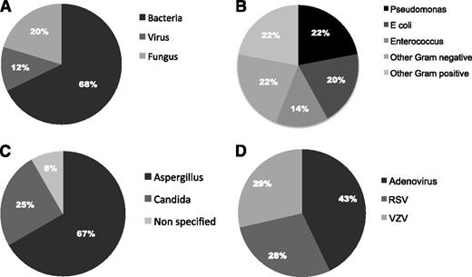Figure 1. Pathogens isolated in 75 cases of IRM. (A) Type of pathogen isolated in cases of IRM with positive microbiological findings. (B) Types of bacteria isolated in cases of IRM (n = 45). (C) Types of fungus isolated in cases of IRM (n = 12). (D) Types of virus isolated in cases of IRM (n = 8).