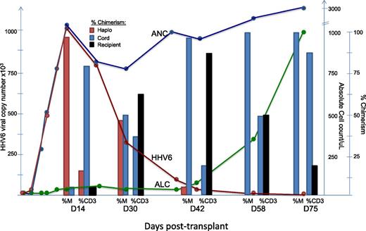 Figure 1. Correlation between HHV6 copy numbers, neutrophil recovery, and myeloid chimerism from the haploidentical donor. ANC, absolute neutrophil count; ALC, absolute lymphocyte count; %CD3, % T-cell chimerism; %M, % myeloid chimerism.