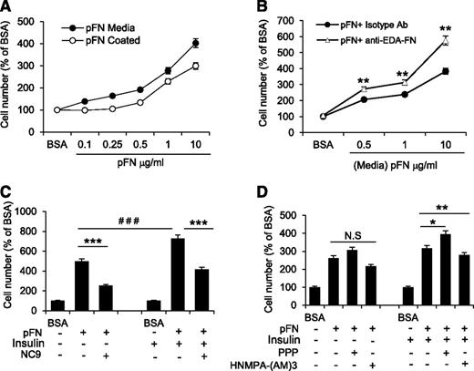 Figure 6. FXIII-A activity regulates proliferation of preadipocytes by promoting pFN assembly into preadipocyte extracellular matrix. (A) Exogenous pFN immobilized onto culture plates (white circles) or added to media (black circles) under serum-free conditions promotes preadipocyte proliferation in a concentration-dependent manner (n = 4). (B) Blocking antibody toward EDA-FN (white triangle) further increased pFN-mediated preadipocyte proliferation, suggesting that the 2 forms of FN have opposing functions. Control treatment; isotype antibody (black circles) (n = 3). **P < .01. (C) Media supplemented with pFN potentiates the proproliferative effect of INS on preadipocytes under serum-free conditions. The combined effect of pFN and INS on preadipocyte proliferation is inhibited by NC9 (n = 3). *** or ### P < .001 (D) The proproliferative effect of INS on preadipocytes under serum-free conditions is mediated by the INS receptor (IR) and not by the INS-like growth factor receptor (IGFR), as demonstrated by the ability of respective receptor inhibitors to block the effect. Only the IR inhibitor HNMPA-(AM)3 (10 µM) reduced proliferation caused by combined pFN and INS treatment; addition of the IGFR inhibitor (PPP, 10 µM) had the opposite effect. Proproliferative effects of pFN alone were not mediated by either IR or IGFR. n = 3, *P < .05; **P < .01; N.S, not significant. Error bars represent SEM.
