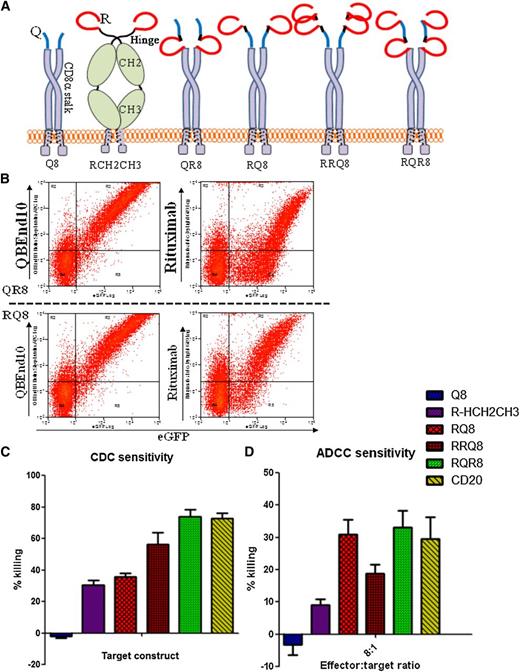 Figure 2. Engineering of combination QBEnd10/rituximab-binding constructs. (A) Cartoon of alternative epitope constructs illustrating alternative presentation formats of epitope constructs that were generated to enable comparison of sensitivity to CDC- and ADCC-mediated deletion. “Q” refers to the 16-amino-acid minimized QBEnd10 epitope; “R” refers to the CD20 circular mimotope; “8” refers to the CD8α stalk; and “Hinge-CH2CH3” refers to the hinge, CH2 and CH3, domains of human IgG1. (B) Binding of QBEnd10 and rituximab to constructs QR8 and RQ8 coexpressed with eGFP in primary human T cells is shown. Both antibodies could bind in either orientation. (C) Sensitivity to CDC depletion using primary human T cells transduced with constructs Q8, RCH2CH3, RQ8, RRQ8, RQR8, and full-length CD20 is shown. Following 4-hour incubation with 25% baby-rabbit complement and rituximab at 100 μg/mL, samples were stained with Annexin V/PI and the live population was assessed by flow cytometry analysis for the presence of the coexpressed eGFP marker gene. Results illustrate comparative deletion observed from 3 separate donors. (D) Similarly, sensitivity to ADCC-mediated depletion was assessed using primary human T-cell targets transduced with constructs were challenged by 16:1, 8:1, 4:1, and 2:1 effector:target ratios of NK cell effectors derived from the same donor. Following 48-hour incubation in the presence of 100 μg/mL rituximab, depletion was assessed by flow cytometry analysis. Samples were stained with Annexin V/PI for live/dead exclusion, with NK cells labeled with CellTRACE violet excluded from the live gate to identify the residual live population of targets cells identified by the presence of a coexpressed eGFP marker gene. Results illustrate comparative deletion by the 8:1 effector:target ratio observed from 3 separate donors. Construct RQR8 engenders equal CDC and ADCC to full-length CD20.