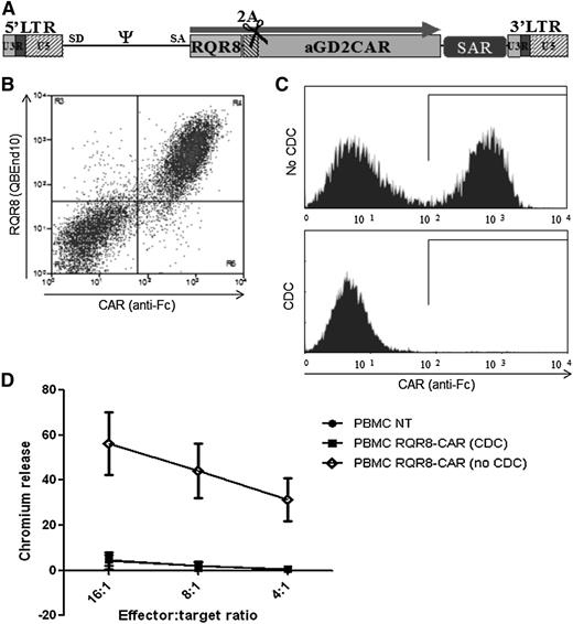Figure 4. Demonstration of RQR8 activity when coexpressed with a CAR. (A) RQR8 is expressed with an anti-GD2 CAR in the SFG retroviral vector using the FMD-2A sequence. The retroviral vector expression is enhanced using a scaffold attachment region (SAR). (B) Primary human T cells were transduced with this retroviral vector. Following transduction, cells were stained with QBEnd10 and polyclonal goat anti-human Fc (the latter stains the CAR). Clear coexpression of RQR8 and CAR was observed. (C) T cells were sorted with QBEnd10 beads and mixed 1:1 with nontransduced T cells and exposed to either rituximab alone or rituximab and complement. Two hours later, anti-Fc and Annexin V staining was performed. Anti-Fc staining is shown gating on live T cells. Mean depletion was 97% of transduced cells. (D) This rituximab-depleted population, along with the undepleted T cells, and nontransduced T-cells were used as effectors in a chromium-release killing assay using GD2-positive target cells. This experiment was performed in 5 donors. LTR, long terminal repeat.