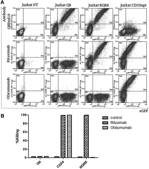 Figure 5. Binding and killing with ofatumumab vs rituximab. T cells well transduced to express Q8, RQR8, or codon-optimized CD20, all coexpressed with eGFP. (A) T cells were stained with either rituximab or ofatumumab and a secondary anti-human-Fc allophycocyanin-conjugated goat antibody. Antibody binding vs eGFP expression is shown. Q8 binds neither mAb; CD20 binds both, whereas RQR8 only binds rituximab. (B) Next, primary human T cells were transduced with these constructs and a CDC assay was performed with either rituximab or ofatumumab. The percentage lysis as determined by Annexin-V and PI positivity is shown. Q8 transduced to T cells was not lysed by either mAb; T cells expressing CD20 were lysed by both, whereas RQR8 T cells were lysed only by rituximab. This experiment was performed in 1 donor.