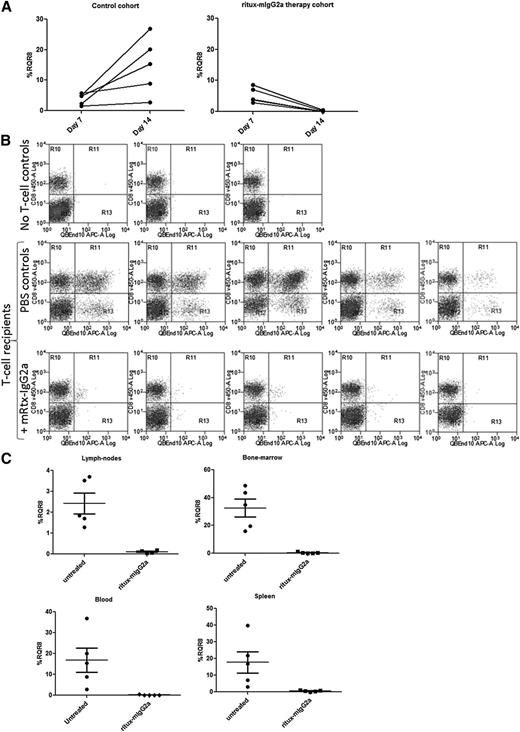 Figure 6. In vivo testing of RQR8. C57BL/6 splenocytes were retrovirally transduced to express RQR8 and selected to >90% purity with Miltenyi CD34 beads. Approximately 1.5 million of these cells were injected IV into 5-Gy radiograph preconditioned C57BL/6 × BALB/c cross (F1) recipients. Seven days posttransfer, engraftment was assessed by peripheral blood. ritux-mIgG2a therapy commenced with 150-μg doses at days 7, 10, and 12 by IV injection or phosphate-buffered saline carrier for the control cohort. Each cohort had 5 mice. An additional 2 mice were irradiated but given neither T cells nor ritux-mIgG2a. Animals were sacrificed at day 14, and engraftment was assessed by considering the proportion of QBEnd10-positive T cells as a proportion of the T-cell population. (A) Peripheral blood marking levels in control and in treated mice. (B) Flow cytometry of the T-cell population in spleen showing RQR8 vs CD8 in mice not receiving transgenic T cells and control and rituximab-treated mice. (C) Percentage marking in lymph nodes, bone marrow, blood, and spleen.