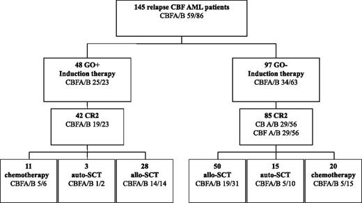 Figure 1. Patient flowchart. Induction and consolidation therapy according to GO administration in salvage therapy.