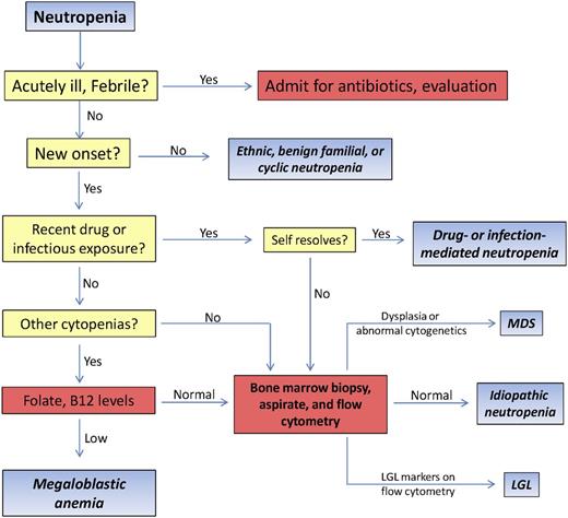 Figure 1. Algorithm for the evaluation and treatment of adult patients with neutropenia.