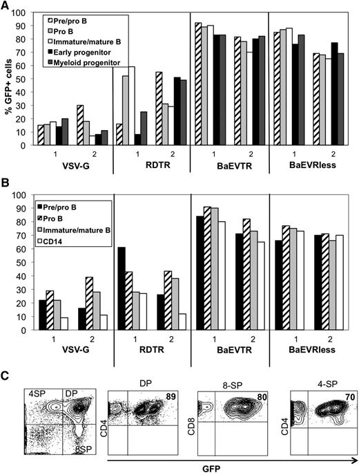 Figure 4. BaEV-LVs efficiently transduce NSG repopulating hCD34+ cells. CB hCD34+ cells were prestimulated for 24 hours with a cytokine-cocktail (TPO+SCF+Flk-3L) and transduced the presence of RetroNectin with RDTR-LVs, BaEVTR-LVs, or BaEVRless-LVs at an MOI of 10 for 36 hours. VSV-G-LV transductions were performed at an MOI = 10. The cells were then injected into the liver of newborn NSG mice. On reconstitution for 12 weeks, the different hematopoietic tissues (BM, spleen, and thymus) of these engrafted mice were analyzed for human cell engraftment by anti-hCD45 staining (Table 1). (A) Transduction levels of the different cell lineages in the BM of NSG reconstituted mice. The percentage of GFP+ immature early progenitor cells (CD34+CD19−CD10−), pre/pro-B cells (CD34+CD19+CD10−), pro-B cells (CD34−CD19+CD10−), immature and mature B cells (CD34−CD19+CD10+), and myeloid progenitors (CD13+) are shown. Data for 2 representative mice from Table 1 for each vector are shown. (B) Transduction levels of different cell lineages in the spleen of NSG reconstituted mice. The percentage of GFP+ pre/pro-B cells (CD34+CD19+CD10−), pro-B cells (CD34−CD19+CD10−), immature and mature B cells (CD34−CD19+CD10+), monocytes, and granulocytes (CD14+) are shown. Data shown correspond to the mice represented in A. (C) Transduction levels of human thymocyte subpopulations of NSG mice reconstituted with hCD34+ cells transduced with BaEVRless-LVs. The percentage of GFP+CD4+CD8+ (DP), CD4+CD8− (4-SP), and CD4−CD8+ (8-SP) is indicated in the upper right quadrant. A representative blot of the BaEVRless mice in Table 1 is shown.
