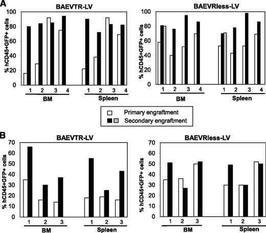 Figure 5. BaEV-LVs transduce efficiently long-term reconstituting HSCs. Transduced cells were injected into the liver of irradiated newborn NSG mice. On reconstitution, the BM and spleen of these primary engrafted mice (first transplantation) were analyzed for transduced human cell engraftment (GFP+CD45+) in the BM and the spleen. Subsequently, the hCD34+ cells, isolated from the BM of these mice, were injected following the same procedure as for the primary NSG engraftments. Ten weeks after engraftment, these secondary recipient mice were analyzed for the percentage of transduced human cells (GFP+CD45+) in the BM and spleen. (A) Analysis of engraftment of transduced human cells (GFP+CD45+) in the BM and spleen of primary transplanted mice reconstituted with prestimulated (TPO+SCF+Flt-3L) hCD34+ cells and transduced with BaEVTR-LVs or BaEVRless-LVs in the presence of RetroNectin and of secondary recipient NSG mice. (B) Analysis of engraftment of transduced human cells (GFP+CD45+) in the BM and spleen of primary and secondary transplanted mice reconstituted with unstimulated hCD34+ cells transduced with BaEVTR-LVs or BaEVRless-LVs in the presence of RetroNectin and of secondary recipient NSG mice.