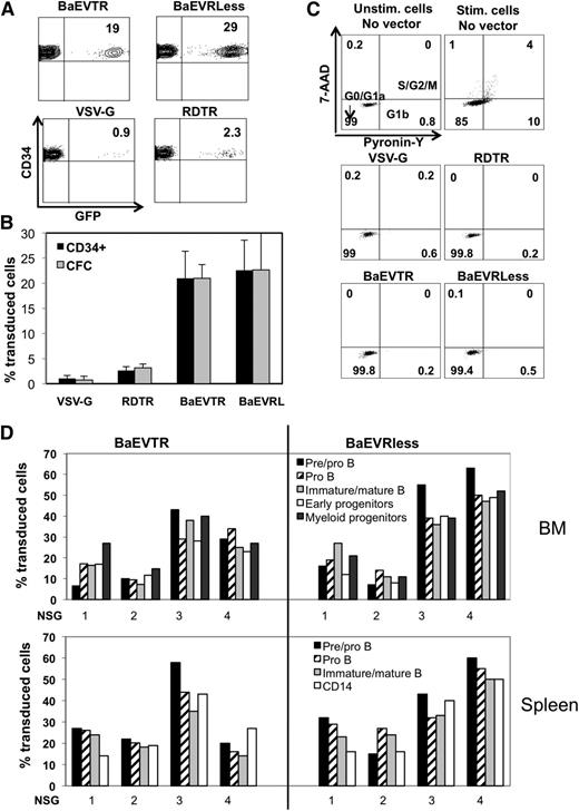 Figure 6. BaEV-LVs are highly superior over RDTR-LVs and VSV-G-LVs for the transduction of unstimulated hCD34+ cells. Freshly isolated CB hCD34+ cells were directly transduced by the indicated LV pseudotypes at an MOI of 10. For VSVG-LVs, an MOI of 100 was used. Analysis for the percentage GFP+ hCD34+-cells was performed 3 days after transduction by FACS. A representative dot blot is shown for each pseudotype in A and the average transduction levels are indicated in B (means ± SD, n = 6). (B) Three days after transduction, the hCD34+ cells were seeded in myeloid differentiation medium. The percentage of GFP+ CFCs is presented (means ± SD, n = 4; P < .001 when comparing BaEV-LVs with VSV-G- and RDTR-LVs). (C) Cell cycle progression was monitored 3 days after transduction of the hCD34+ cells with the different pseudotypes by simultaneously visualizing RNA (Pyronine-Y) and DNA (7-AAD) content of the cells. As controls, unstimulated and stimulated (SCF+TPO+Flt3-L) hCD34+ cells without exposure to vector (no vector) were included. The percentages of cells in the G0/G1a, G1b, and S/G2/M phase of the cell cycle are indicated in the dot blots. (D) Freshly isolated CB hCD34+ cells were transduced with BaEVTR-LVs and BaEVRless-LVs at an MOI = 10 for 24 hours. The cells were then injected into the liver of newborn NSG mice. On reconstitution for 12 weeks, the different hematopoietic tissues (BM, spleen, and thymus) of these engrafted mice were analyzed for human cell engraftment by anti-hCD45 staining (Table 1). Transduction levels of the different cell lineages in the BM of NSG reconstituted mice are presented (upper histograms). GFP+ immature early progenitor cells (CD34+CD19−CD10−), pre/pro-B cells (CD34+CD19+CD10−), pro-B cells (CD34−CD19+CD10−), immature and mature B cells (CD34−CD19+CD10+), and myeloid progenitors (CD13+) are shown. Transduction levels of different cell lineages in the spleen of NSG reconstituted mice (lower histogram). The percentage of GFP+ pre/pro-B cells (CD34+CD19+CD10−), pro-B cells (CD34−CD19+CD10−), immature and mature B cells (CD34−CD19+CD10+), monocytes, and granulocytes (CD14+) are shown. Data for 4 representative mice from Table 1 for each vector type are shown. All transductions were performed in the presence of RetroNectin.