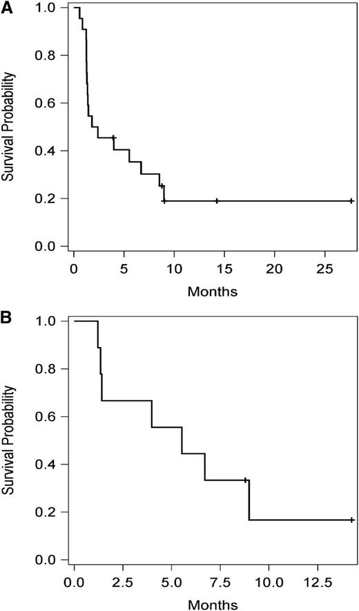 Figure 1. Progression-free survival. In (A) all patients and (B) patients with FL.