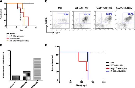 Figure 1. Features of miR-125b-induced myeloid cancer cells. (A) Leukemic cells from MG-125b are serially transplantable. Cells from MG and MG-125b mice were harvested 3 to 6 months after bone marrow reconstitution. 200K GFP+ splenic cells (black dotted line) or 400 to 1000K GFP+ BMCs (red line) from MG-125b mice were transferred into secondary sublethally irradiated C57bl/6 recipients. Two million GFP+ BMCs from the secondary mice were injected into tertiary nonirradiated C57bl/6 recipients (orange line indicated as “no irradiation”). Death point of the recipients (at least 4 mice per group) were recorded when found dead or moribund. (B) Myeloid cancer cells induced by miR-125b overexpression were harvested and subjected to exome deep-sequencing analysis. Every exon was sequenced an average of 50 times. The sequencing data sets were filtered on a 0.1% false-positive discovery rate and cancer-associated mutations were obtained by excluding those that were identified in normal noncancerous mice. Plot shows the number of cancer-associated exonic mutations identified in each of the 3 independent experiments. (C) Donor BMCs from C57bl/6, Rag1−/−, and EμMT (B6.129S2-Ighmtm1Cgn/J) mice were transduced with MG-125b retroviruses, which encode for miR-125b and GFP expression. As control, donor BMCs from C57bl/6 animals were transduced with empty MG retroviruses, which encode for GFP. BMCs were transplanted into lethally irradiated C57bl/6 recipients, and the blood of the mice was subjected to flow cytometric analyses 3 months after reconstitution. (D) The survival curve of the mice described in panel C is shown (3 mice per group). Mice were considered dead when they became moribund or found dead.