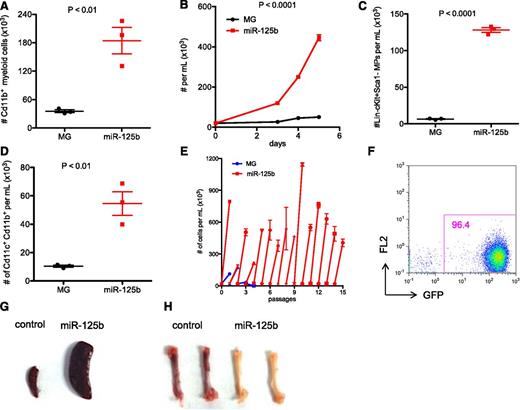 Figure 2. Overexpressing miR-125b in BMCs induces myeloproliferative disorder in vitro. (A) HSPC-enriched BMCs, which were obtained by injecting C57bl/6 mice with 5-fluorouracil, were transduced with MG control or MG-125b retroviruses. Equal numbers of BMCs were cultured in 50 ng/mL SCF, 50 ng/mL IL-6, and 25 ng/mL IL-3. After 5 days, the total number of myeloid cells (CD11b+) cells was determined by flow cytometry. (B) MG control or miR-125b–overexpressing HSPC-enriched cells were expanded at same starting density in 50 ng/mL SCF. Cells were counted by flow cytometry. (C) Equal numbers of HSPC-enriched cells transduced with MG or miR-125b overexpression cassette were expanded in 50 ng/mL SCF. The density of Lin−Sca1−cKit+ cells after 4 days was determined by flow cytometry. (D) Equal numbers of MG control or miR-125b–overexpressing BMCs were cultured in 20 ng/mL GMCSF to induce differentiation into dendritic cells. The number of dendritic cells was determined by flow cytometry 6 days after culture. (E) MG or miR-125b–transduced BMCs were cultured in 50 ng/mL SCF. When the miR-125b–overexpressing cells were confluent between 4 and 8 days after plating, the cells were reseeded at a starting density of 20K per mL. The x-axis represents the passage number, and the y-axis represents the cell density. Panels A through E are representative of at least 2 independent experiments. (F) MiR-125b–overexpressing BMCs were cultured and expanded in vitro. One million GFP+ cells were injected into sublethally irradiated C57bl/6 mice. Two months posttransplantation, recipient blood was subjected to flow cytometric analysis to determine engraftment of GFP+ cells. The pictures of (G) spleen and (H) femur are representative examples of these organs taken from moribund miR-125b–transduced mice (right panel) and age-matched C57bl/6 controls (left panel). Representative of 6 mice.