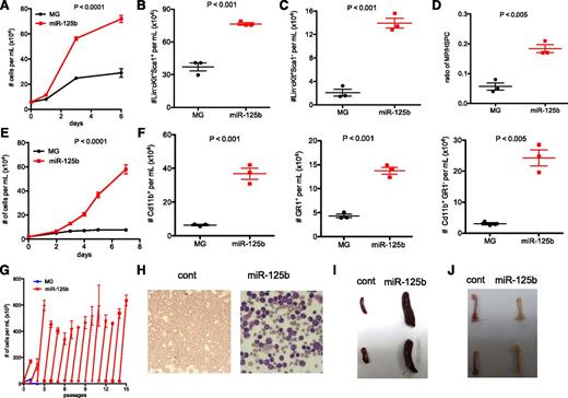 Figure 3. Effect of overexpressing miR-125b in HSPCs and MPs. (A) Equal numbers of MG or MG-125b–transduced Lin−cKit+Sca1+ HSPCs were cultured, and the cell density was determined using flow cytometry. Two-way analysis of variance was used to obtain P values. The number of (B) Lin−cKit+Sca1+ HSPCs and (C) Lin−cKit+Sca1− MPs was determined by flow cytometry 6 days after culture. (D) The ratio of MPs to HSPCs was calculated and plotted. Two independent experiments were performed. (E) Equal number of MG or MG-125b–transduced Lin−cKit+Sca1− MPs were cultured. The cell density was determined according to the indicated time. Representative of two independent experiments. (F) The density of myeloids (Cd11b+), granulocytes (GR1+), or nongranulocytic myeloids (CD11b+GR1−) cells after growing miR-125b–overexpressing MPs was determined by flow cytometry 10 days later. Two independent experiments performed. (G) Sorted MG or miR-125b–transduced Lin−cKit+ Sca1− MPs were cultured and passaged similarly as described in the Figure 2E legend. (H) Sublethally irradiated C57bl/6 recipients were injected with common myeloid progenitors sorted from MG-125b mice. Wright stain of the blood was performed when the recipients were moribund. (I) The spleen and (J) femur were harvested and imaged when the mice were moribund and sacrificed. Representative of 4 mice. Control mice represent recipient mice injected with BMCs from MG mice.