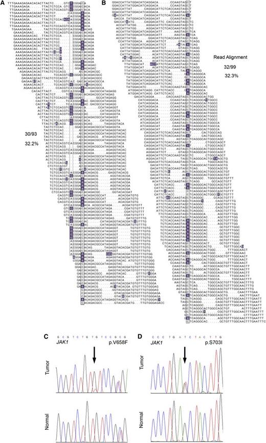 Figure 1. WGS identifies JAK1 mutations in 2 out of 4 index T-PLL cases. (A-B) The total individual reads supporting variant calling of the JAK1 p.V658F (A) and p.S703I (B) mutations in index T-PLL samples are shown. Nucleotides with a deviation from the reference sequence are highlighted. The mutations as well as a synonymous single-nucleotide polymorphism (A) are boxed. Dots in individual reads (A-B) represent unsequenced nucleotides (as opposed to sequence gaps) and are intrinsic to the self-assembling DNA nanoarray next-generation sequencing platform and unchained base-reads analysis approach used for WGS (see supplemental Methods for further details). (C-D) Sanger resequencing confirmation of the somatic acquisition of these mutations is shown.
