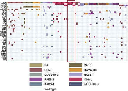 Figure 3. Relationship between mutation pattern and disease phenotype in TET2, SRSF2, and ZRSR2-mutated myeloid neoplasms with myelodysplasia. The red rectangle identifies patients with monocytosis nonfulfilling criteria for classification of chronic myelomonocytic leukemia at the time of mutation analysis.