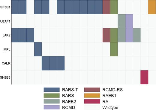 Figure 4. Mutation pattern in MDS and MDS/MPN with thrombocytosis. Diagnosis of each sample according to WHO criteria is shown by indicated colors.