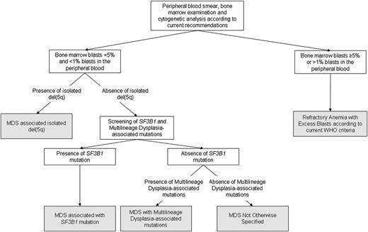 Figure 5. Algorithm illustrating the classification process based on morphologic and genetic criteria identified by the unsupervised clustering analyses. According to these analyses, the threshold of 5% BM blasts retains a significant discriminant value, irrespective of the underlying driver mutation pattern. In MDS with no excess blasts, the presence of isolated del(5q), SF3B1 mutation or multilineage dysplasia-associated mutations recognize genetically-defined disease subtypes.