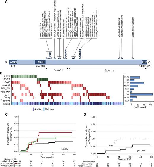 Figure 1. ASXL2 mutations are frequent in AML patients bearing the t(8;21) translocation and are associated with a trend for increased risk for relapse. (A) Gene diagram depicting ASXL2 mutations in adult and pediatric patients with t(8;21) AML. (B) Pattern of molecular and cytogenetic lesions in patients with t(8;21) AML. Each column represents 1 of the 110 t(8;21) AML samples sequenced here. Patient demographics (adult vs pediatric sample) are also included. Cumulative incidence of relapse according to enrollment ASXL2 and ASXL1 mutation status in (C) the entire t(8;21) AML cohort and (D) adult patients who achieved more than 3 log-fold reduction in RUNX1-RUNX1T1 transcripts before initiation of second consolidation course.