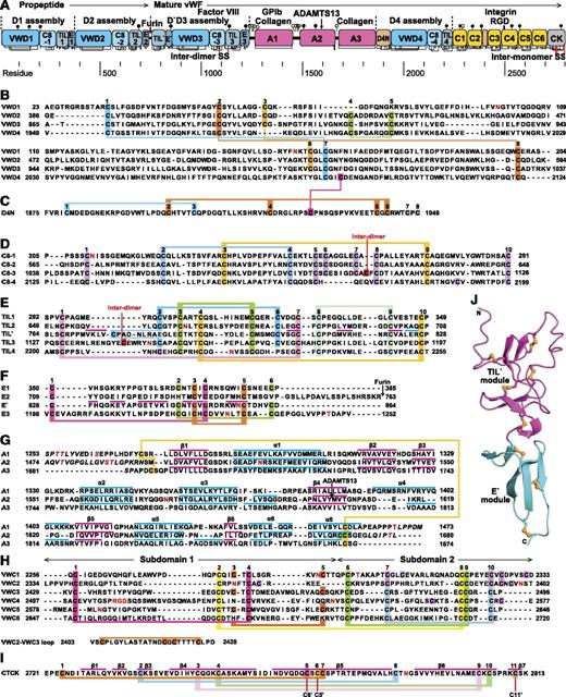 Figure 1. Mosaic domain structure of VWF. (A) Cysteines are vertical lines and are connected for disulfide bonds assigned chemically,105,106 by structure,7,48 or by homology.2 N- and O-linked glycans are closed and open lollipops, respectively.10 Domains are scaled to length and residues are shown with pre-pro numbering. (B-F) D assembly modules. (G-I) A, C, and CTCK domains. Disulfides assigned as described above are connected with colored lines. Secondary structures are overlined and disordered residues are in italics in structurally characterized TIL′,7 E′,7 A1,64-66,107,108 A2,51,54,55 A3,77,107,109 and CTCK domains.48 N and O-glycosylated residues and the RGD motif are in red. (J) D′ ribbon diagram with disulfides shown with yellow sulfur atoms.7