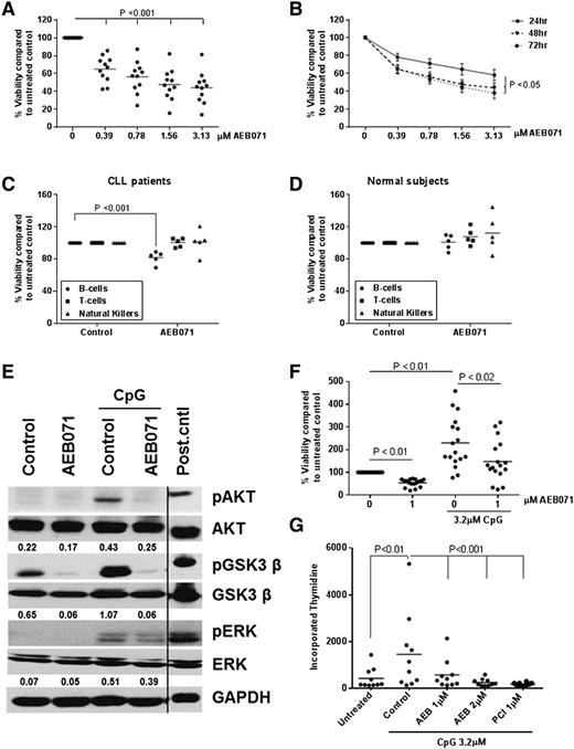 Figure 1. AEB071 induces selective cytotoxicity in CLL cells and inhibits proliferation. (A-B) CD19+ cells from CLL patients (N = 11) were incubated with or without increasing concentrations of AEB071 for up to 72 hours. Viability was determined by MTS assay and was calculated relative to time-matched untreated controls. Dark lines represent averages. (C) Whole blood from CLL patients (N = 5) was incubated with AEB071 (2 μM) for 24 hours. Viability was determined by flow cytometry as described in “Methods.” Dark lines represent averages. (D) Whole blood from normal subjects (N = 5) was incubated without AEB071 (2 μM) for 24 hours. Viability was determined by flow cytometry as described in “Methods.” Dark lines represent averages. (E) CD19+ cells from CLL patients (N = 3) were treated with AEB071 (2 μM) and stimulated with CpG685 oligonucleotides (3.2 μM) for 24 hours. AKT phosphorylation at Ser473, GSK3-β phosphorylation at Ser9, and ERK phosphorylation at Thr202/Tyr204 was assessed by immunoblot. A representative blot with band quantification is presented; black line indicates cropped regions wherein only relevant bands are shown. (F) CD19+ cells from CLL patients (N = 17) were incubated with AEB071 (1 μM) and CpG685 (3.2 μM) for 72 hours. Viability was determined by MTS. Dark lines represent averages. (G) CD19+ cells from CLL patients (N = 10) were incubated with CpG685 (3.2 μM) and treated with AEB071 (1 or 2 μM) or PCI-32765 (1 μM) and proliferation was assessed 120 hours later by tritiated thymidine. Dark lines represent averages.